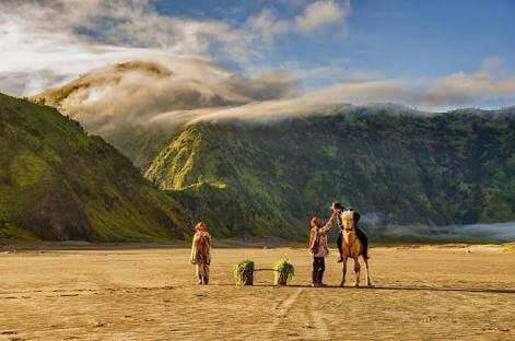 Sedulur Homestay Bromo Extérieur photo