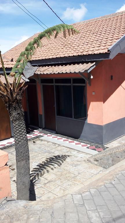 Sedulur Homestay Bromo Extérieur photo